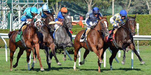 Start of the De La Rose Stakes at Saratoga Race Course