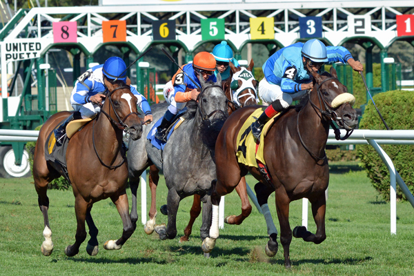 Assateague leads in the stretch of the De La Rose Stakes