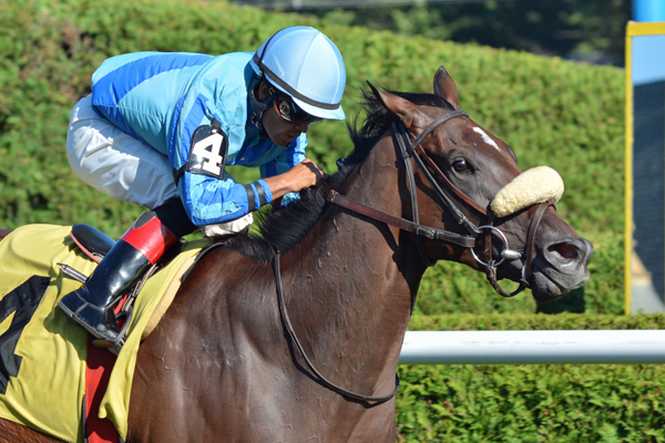 Assateague, with jockey Luis Saez up, wins the De La Rose Stakes at Saratoga Race Course