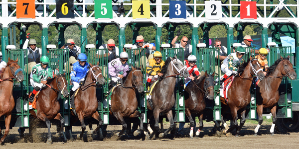 The field breaks from the gate for the 2013 Whitney Handicap at Saratoga Race Course