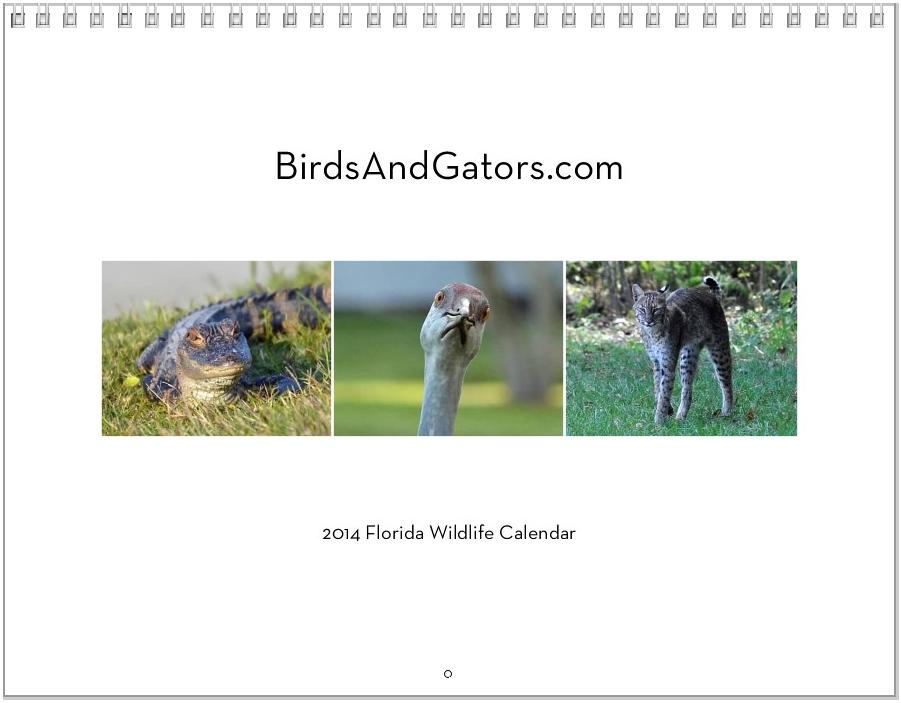 2014 Florida Wildlife Calendar